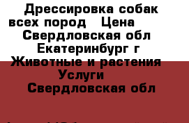 Дрессировка собак всех пород › Цена ­ 500 - Свердловская обл., Екатеринбург г. Животные и растения » Услуги   . Свердловская обл.